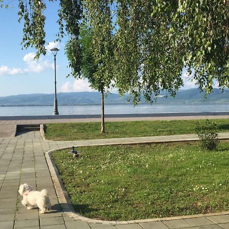 Apartmani Vidikovac Golubac Eksteriør bilde
