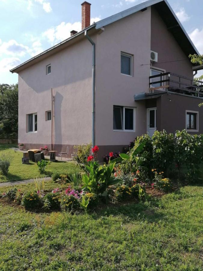 Apartmani Vidikovac Golubac Eksteriør bilde