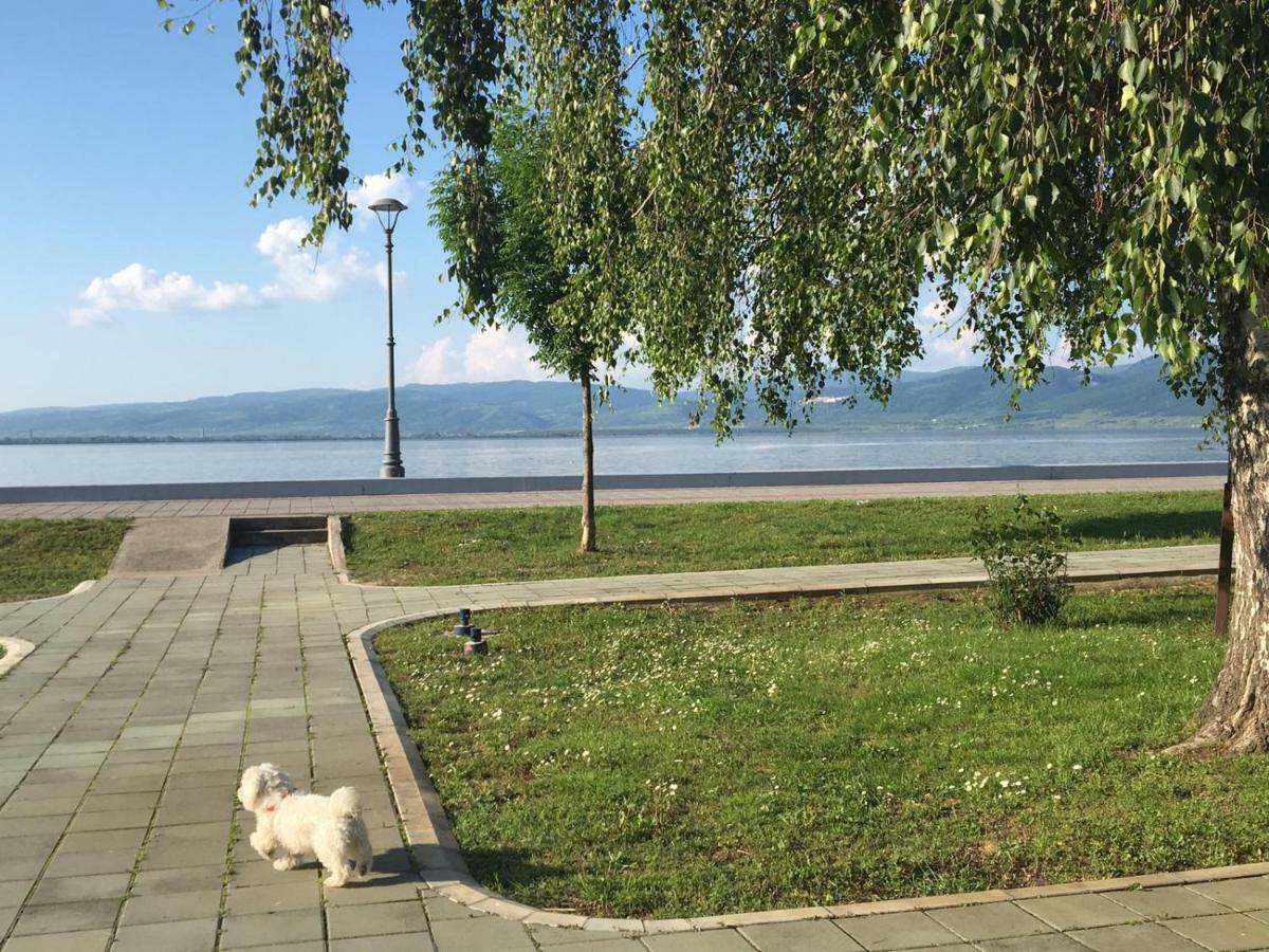 Apartmani Vidikovac Golubac Eksteriør bilde